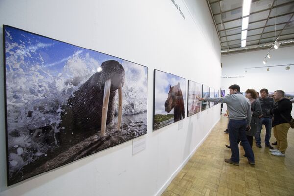 Посетители на фотовыставке, которая открылась в рамках III Общероссийского фестиваля природы Первозданная Россия в Центральном Доме Художника в Москве Посетители на фотовыставке, которая открылась в рамках III Общероссийского фестиваля природы Первозданная Россия в Центральном Доме Художника в Москве