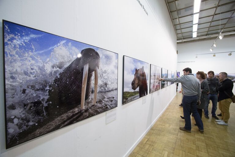 Посетители на фотовыставке, которая открылась в рамках III Общероссийского фестиваля природы Первозданная Россия в Центральном Доме Художника в Москве