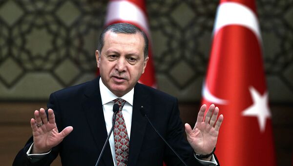 Президент Турции Реджеп Тайип Эрдоган, архивное фото