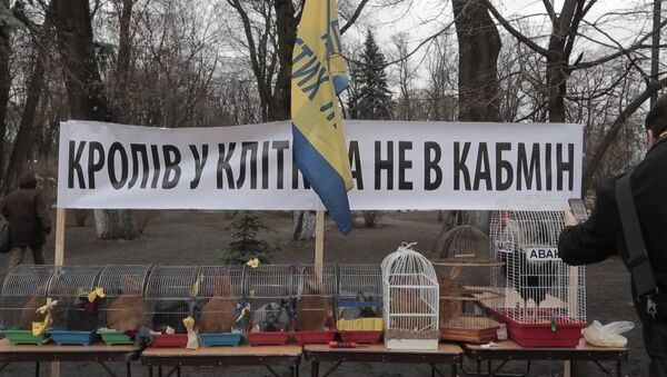 Барабаны, чучело Яценюка и клетки с кроликами на митинге у Рады в Киеве