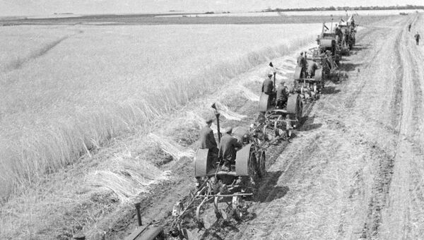 Уборка урожая. Украина. 1935 год