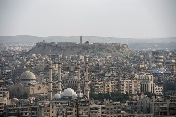 Вид на сирийский город Алеппо