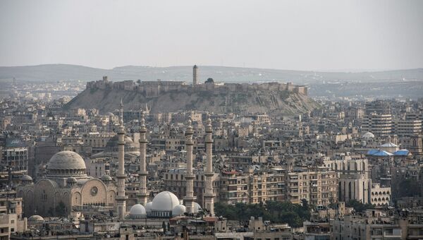 Вид на сирийский город Алеппо