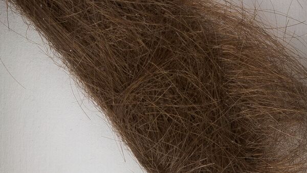 Волос музыканта группы Beatles продали на аукционе за 35 тысяч долларов