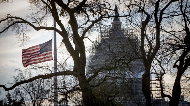 Американский флаг перед Капитолием в Вашингтоне
