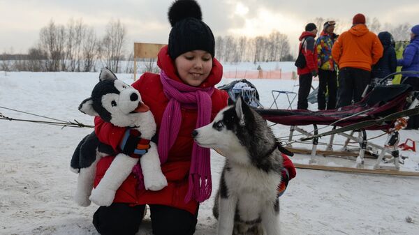 Девочка играет с собакой на фестивале северных ездовых собак Хаски фест в поселке Степной Новосибирской области