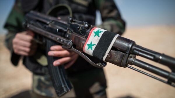Боец Сирийской арабской армии (САА) в окрестностях города Мхин в Сирии