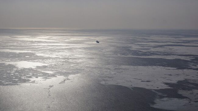 Поиски моряка в Японском море сотрудниками ДВРЦ МЧС России