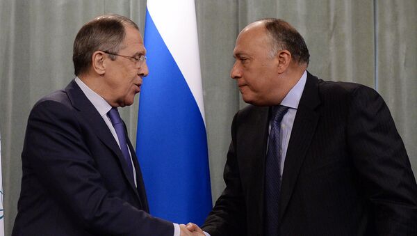 Министр иностранных дел РФ Сергей Лавров (слева) и министр иностранных дел Египта Самех Шукри. Архивное фото