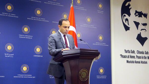 Пресс-секретарь МИД Турции Танжу Бильгич. Архивное фото