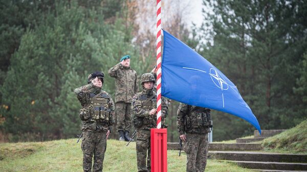 Военнослужащие во время совместных учений НАТО Steadfast Jazz на полигоне в Польше