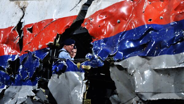 Доклад Совета безопасности Нидерландов по причинам крушения Boeing 777. Архивное фото