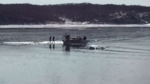 Спасатели на катере забрали с дрейфующей льдины двух любительниц селфи