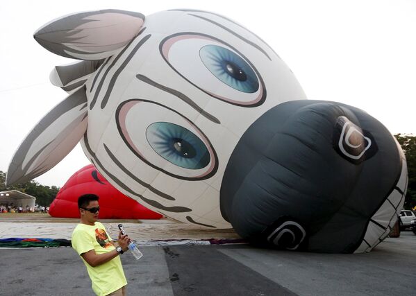 Посетитель на фестивале воздушных шаров в Путраджайе, Малайзия