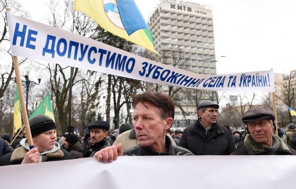 Участник акции протеста у здания Верховной рады в Киеве, которую проводят аграрии