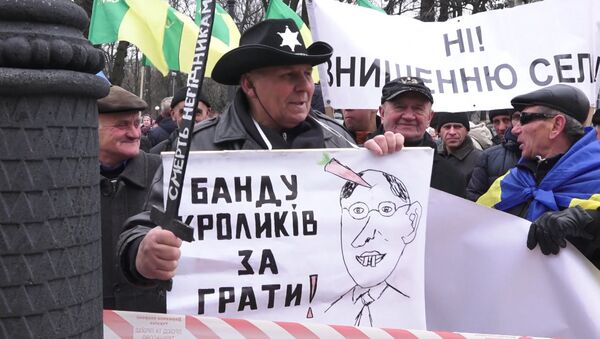 Банду кроликов за решетку – фермеры вышли на митинг против Яценюка в Киеве