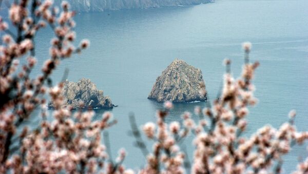 Цветущие деревья в Гурзуфе на фоне Черного моря и скал Адалары. Крым