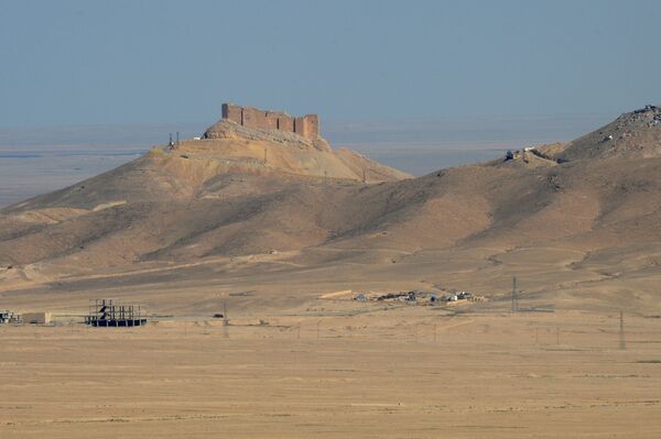 Вид на старый замок на холме со стороны позиций правительственной армии Сирии в 7 км к западу от города Пальмира в Сирии