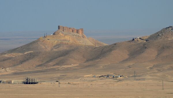 Вид на старый замок на холме со стороны позиций правительственной армии Сирии в 7 км к западу от города Пальмира в Сирии. Архивное фото