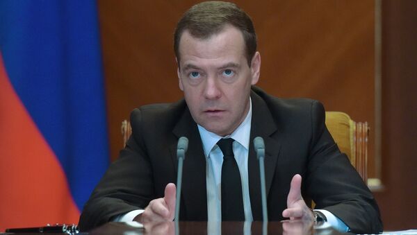 Премьер-министр РФ Д. Медведев. Архивное фото