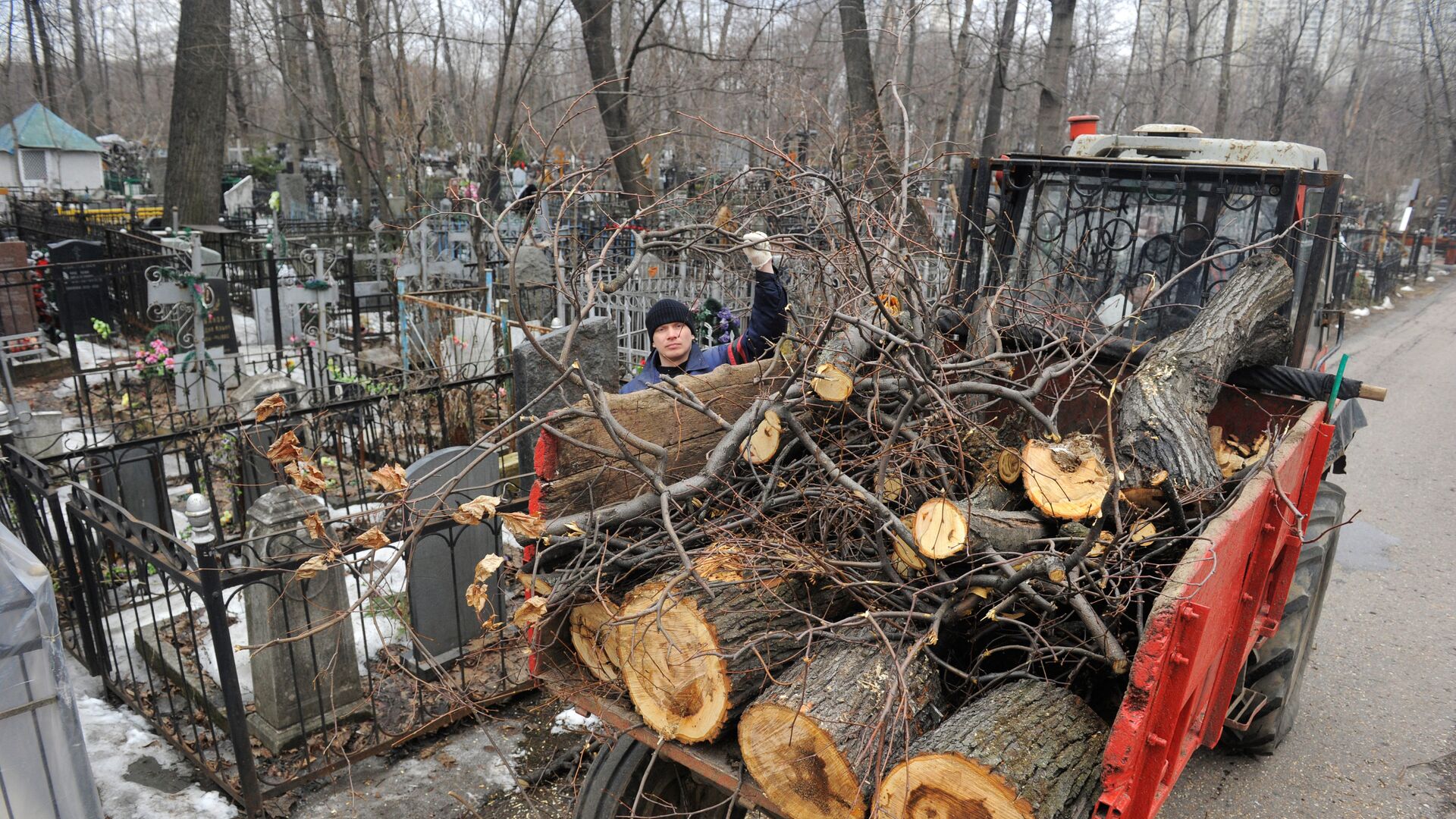 Уборка спиленных аварийных деревьев на кладбище - РИА Новости, 1920, 17.02.2022