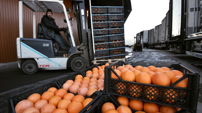 Грейпфруты на складе с сирийскими продуктами в агрокластере Фуд Сити в Москве