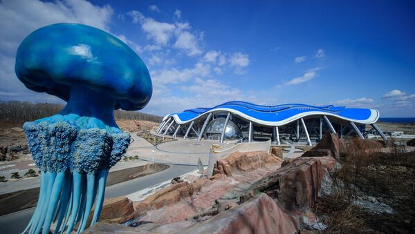 В Приморье откроется трехэтажный океанариум с 500 видами рыб и шоу медуз -  РИА Новости, 25.05.2016