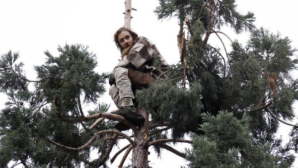 Молодой человек, сидящий на дереве в Сиэттле