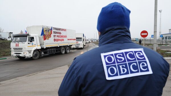 Сотрудник ОБСЕ (Организации по безопасности и сотрудничеству в Европе) наблюдает за колонной конвоя с гуманитарной помощью