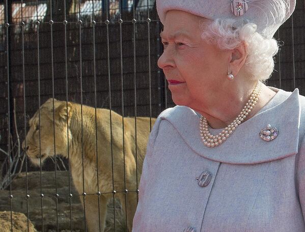 Королева Великобритании Елизавета II у вольера с азиатским львом в лондонском зоопарке