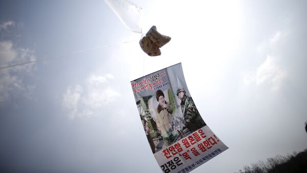 Запущенные Южной Кореей воздушные шары с листовками. 26 марта 2016 года