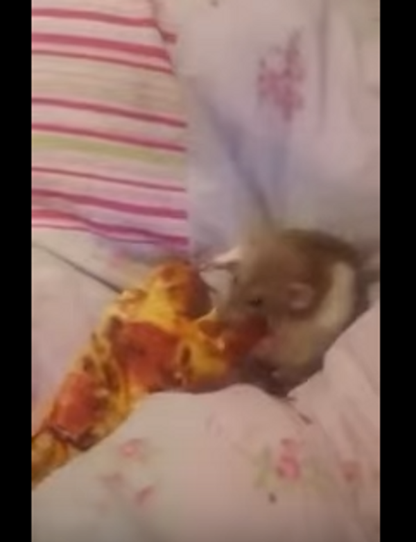 Пицца в постель