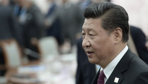 Председатель Китайской Народной Республики Си Цзиньпин, Архивное фото