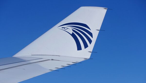 Логотип компании EgyptAir на крыле самолета