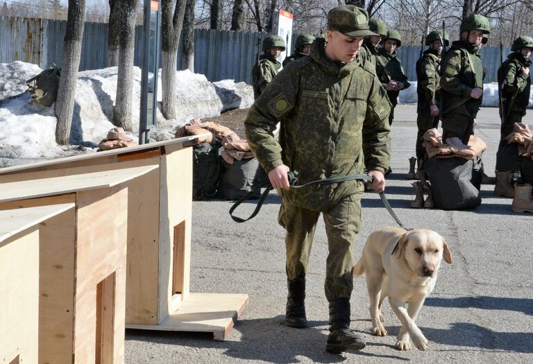 Саперы минобороны РФ в Международном противоминном центре ВС РФ в Нахабино готовятся к отправке в Сирию для разминирования Пальмиры