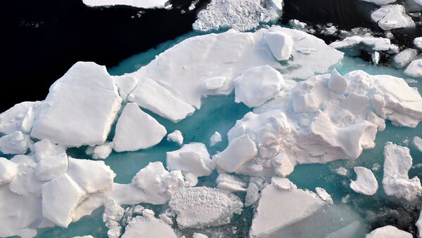 Северный Ледовитый океан. 19 августа 2009