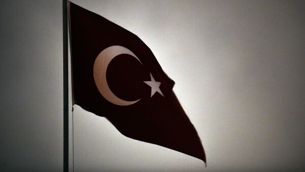 Флаг Турецкой Республики. Архивное фото
