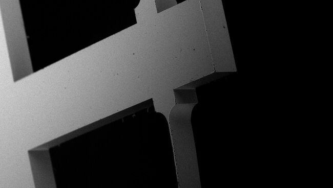 Фотография маятника детектора, полученная электронным микроскопом Фотография маятника детектора, полученная электронным микроскопом