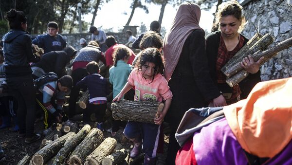 Мигранты и беженцы собирают дрова в палаточном лагере недалеко от села Идомени, Греция. Март 2016. Архивное фото