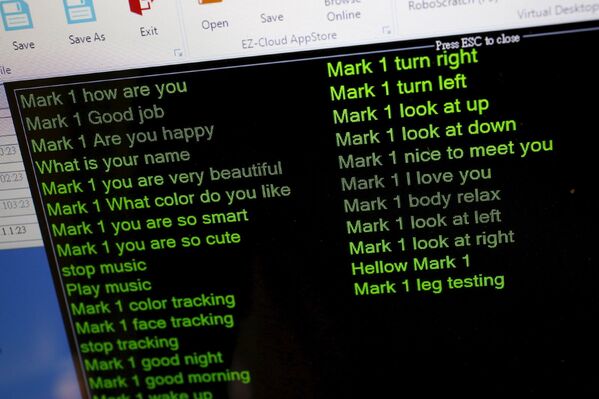 Перечень команд для робота Mark 1 на экране компьютера его создателя Рики Ма