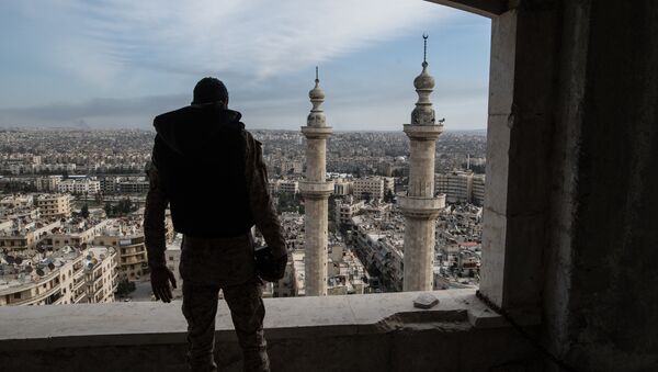 Военнослужащий Сирийской Арабской армии в городе Алеппо