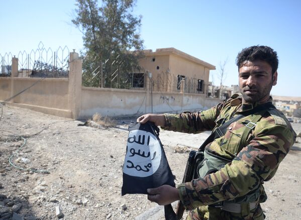 Боец сирийской армии в освобожденном от боевиков городе Эль-Карьятейне