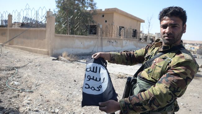 Боец сирийской армии держит в руках флаг ИГ. Архивное фото