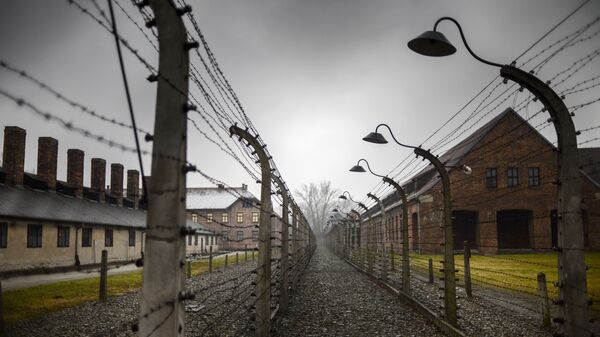 Концентрационный лагерь Аушвиц-Биркенау в Освенциме, Польша. Архив