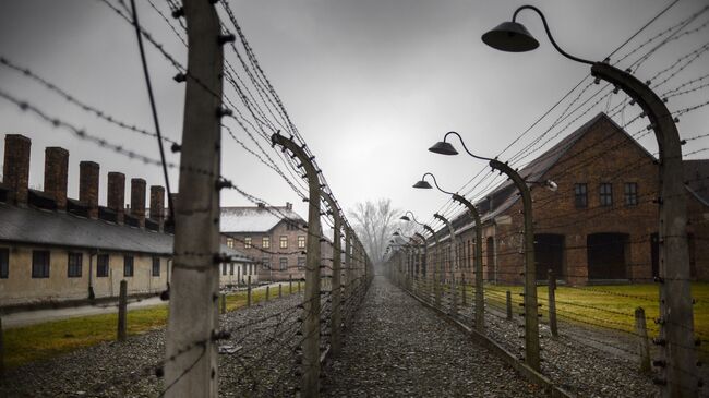 Концентрационный лагерь Аушвиц-Биркенау в Освенциме, Польша. Архив