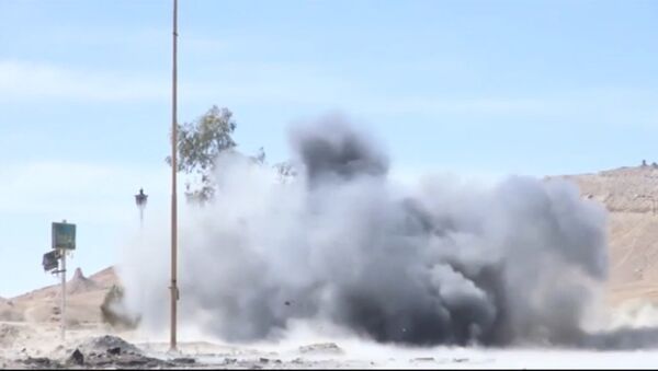 Российские саперы обезвредили мины на дорогах к освобожденной от ИГ Пальмире