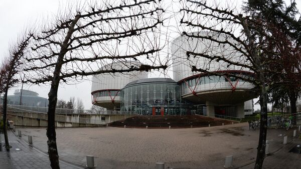 Дворец прав человека в Страсбурге, в здании которого расположен Европейский суд по правам человека
