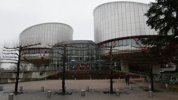 Дворец прав человека в Страсбурге, в здании которого расположен Европейский суд по правам человека. Архивное фото