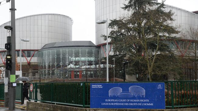 Дворец прав человека в Страсбурге, в здании которого расположен Европейский суд по правам человека. Архивное фото