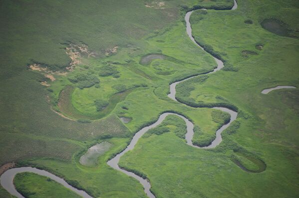 Вид на одну из рек в Кроноцком государственном природном биосферном заповеднике